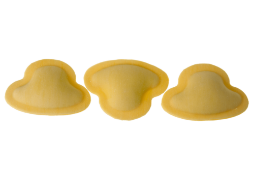 Ravioli ai Funghi Porcini