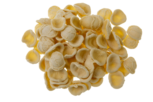 Orecchiette